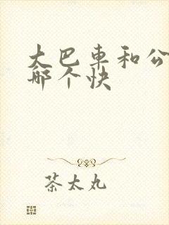 大巴车和公交车哪个快