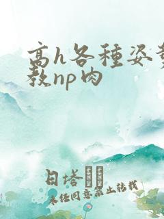 高h各种姿势调教np肉