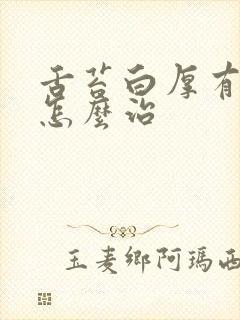 舌苔白厚有齿痕怎么治