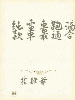 纯电车跑滴滴哪款车最适合