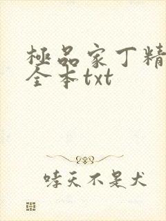 极品家丁精校版全本txt