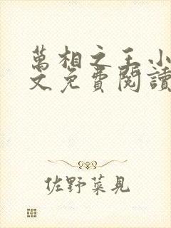 万相之王小说全文免费阅读无弹窗