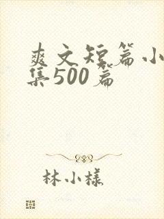 爽文短篇小说合集500篇