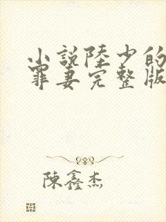 小说陆少的隐婚罪妻完整版