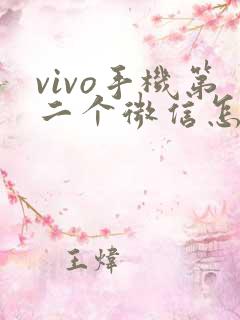 vivo手机第二个微信怎么隐藏