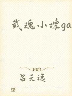 武魂小坏ga 武魂小坏ga