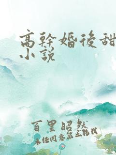 高干婚后甜宠文小说