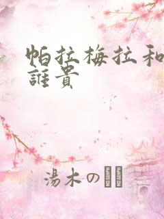 帕拉梅拉和卡宴谁贵