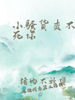 小骚货爽不爽干死你