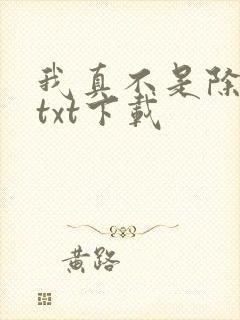 我真不是除念师txt下载