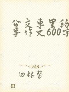 公交车里的那些事作文600字