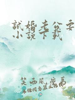 试婚老公要给力小说下载