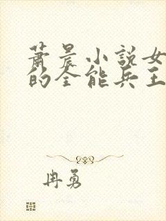 萧晨小说女总裁的全能兵王