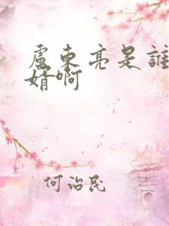 卢东亮是谁的女婿啊
