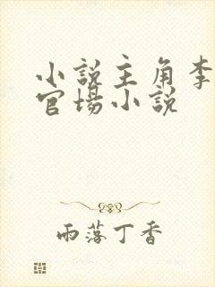 小说主角李霖的官场小说