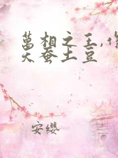 万相之王,作者天蚕土豆