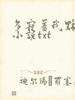 多宠着我点竹已小说txt