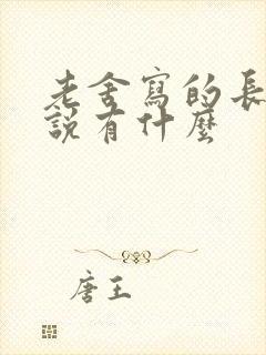 老舍写的长篇小说有什么