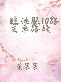临洮县10路公交车路线