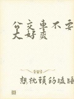 公交车不要停好大好爽