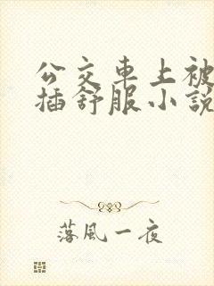 公交车上被摸被插舒服小说