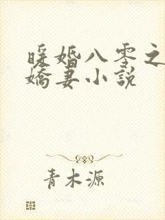 暖婚八零之全能娇妻小说 暖婚八零之全能娇妻小说