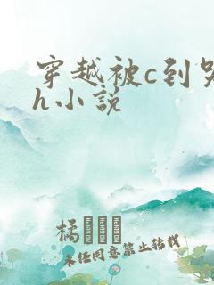 穿越被c到哭高h小说