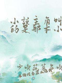 小说主角叫陈凡的是那本小说