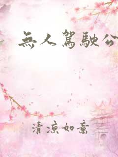 无人驾驶公交
