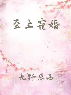 至上宠婚