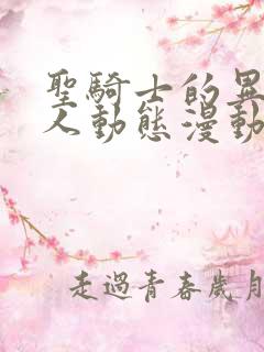 圣骑士的异世恋人动态漫动画片