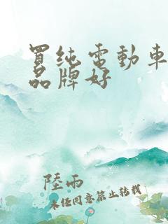 买纯电动车哪个品牌好