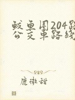 鲅鱼圈204路公交车路线图