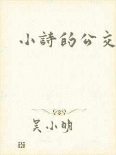 小诗的公交日记