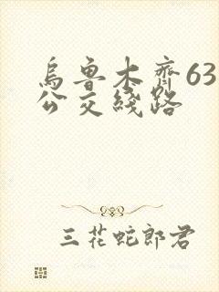 乌鲁木齐63路公交线路