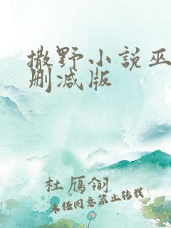 撒野小说巫哲未删减版
