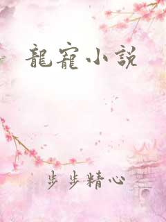 龙宠小说