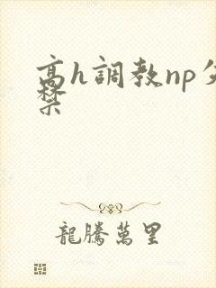 高h调教np失禁