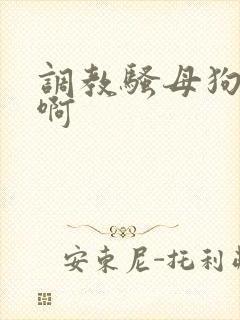 调教骚母狗啊啊啊