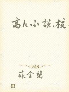 高h小说,校园