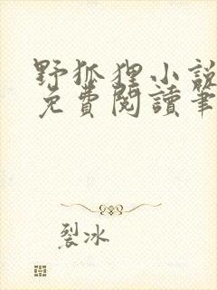 野狐狸小说全文免费阅读笔趣阁