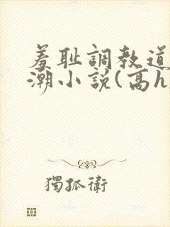 羞耻调教道具高潮小说(高h,1v1)