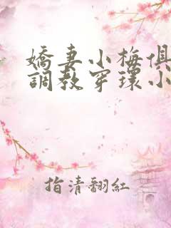 娇妻小梅俱乐部调教穿环小说
