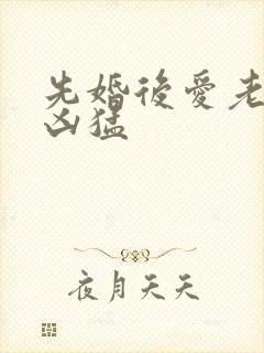 先婚后爱老公很凶猛
