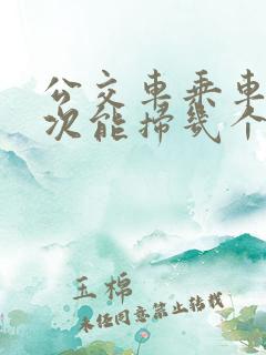 公交车乘车码一次能扫几个人