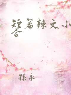 短篇辣文小说集合