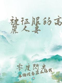 被征服的高贵美丽人妻