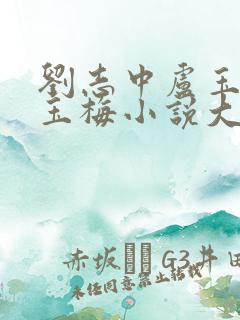 刘志中卢玉清卢玉梅小说大结局