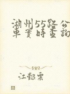 湖州55路公交车实时查询