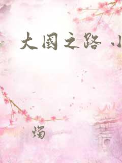 大国之路 小说